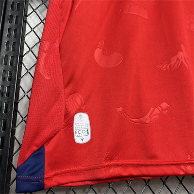 Camiseta Osasuna 24/25